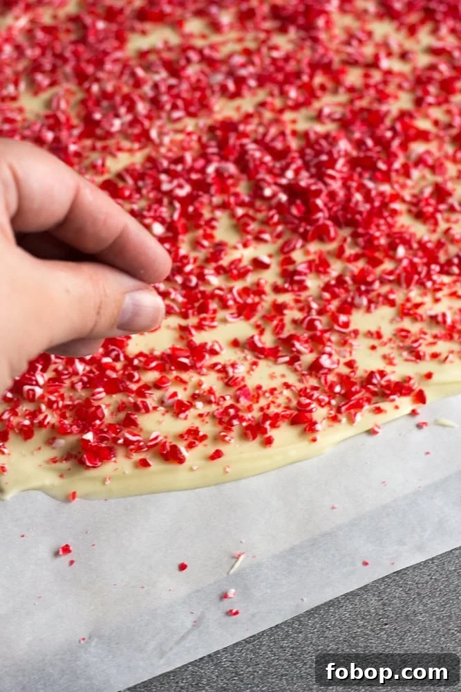 Gluten-Free White Chocolate Peppermint Bark Recipe 11 A hand sprinkling red and white peppermint bits onto some spread out white chocolate.