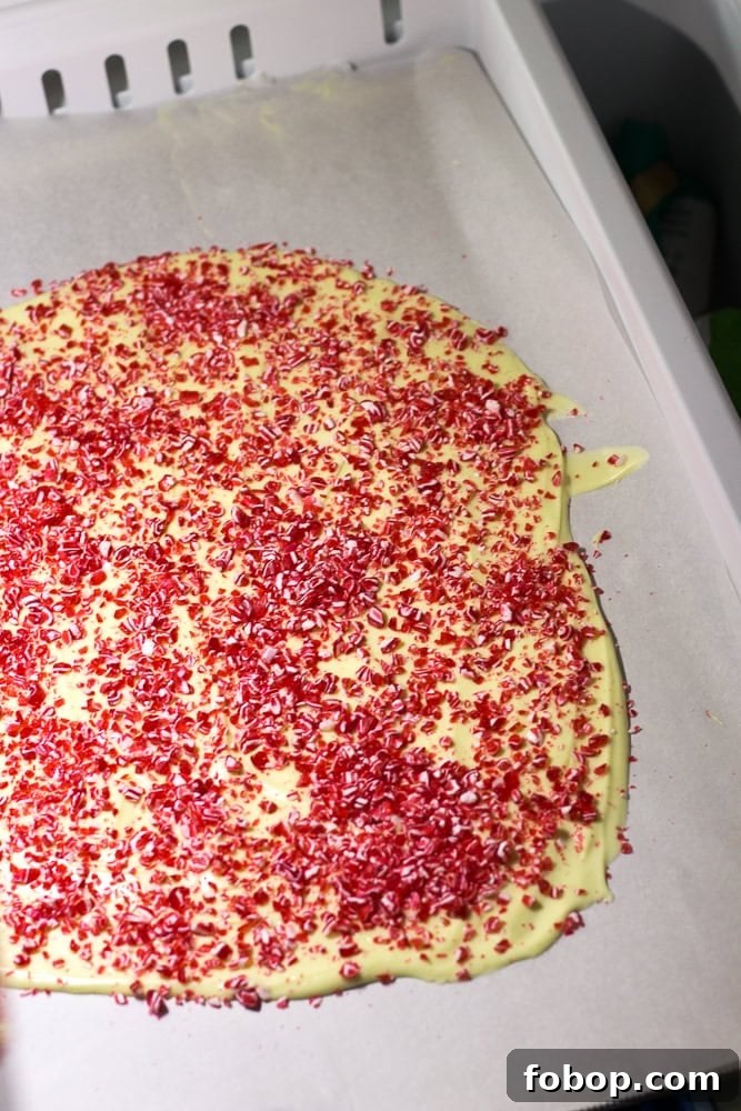 Gluten-Free White Chocolate Peppermint Bark Recipe 12 White chocolate peppermint bark on a sheet pan lined with parchment paper going into a freezer drawer.