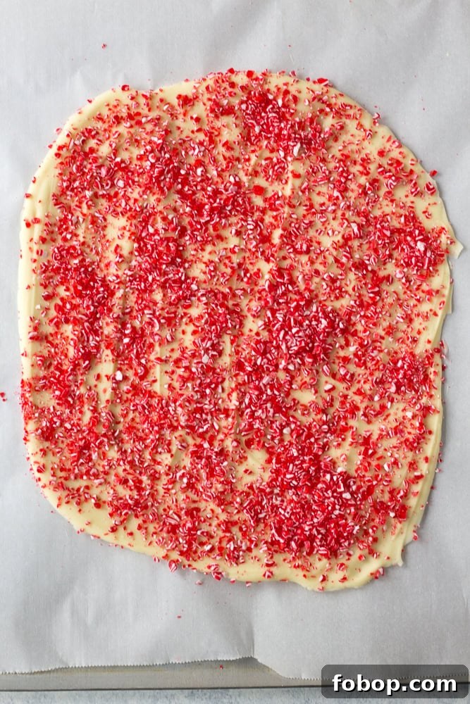 Gluten-Free White Chocolate Peppermint Bark Recipe 13 A top down shot of a parchment-lined sheet pan of this white chocolate peppermint bark recipe.