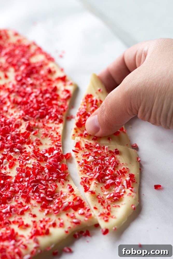 Gluten-Free White Chocolate Peppermint Bark Recipe 14 A hand breaking up white chocolate peppermint bark that's lying on a sheet pan lined with white parchment paper.