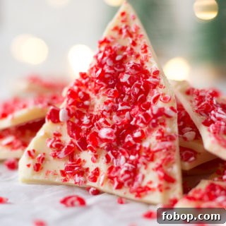 Gluten-Free White Chocolate Peppermint Bark Recipe 16 a piece of white chocolate peppermint bark standing up