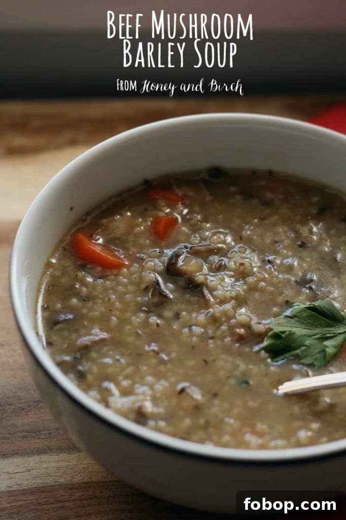 Beef Mushroom Barley Soup