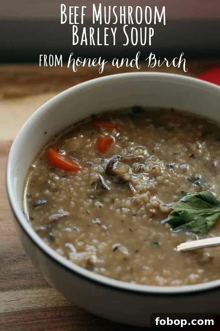 Beef Mushroom Barley Soup