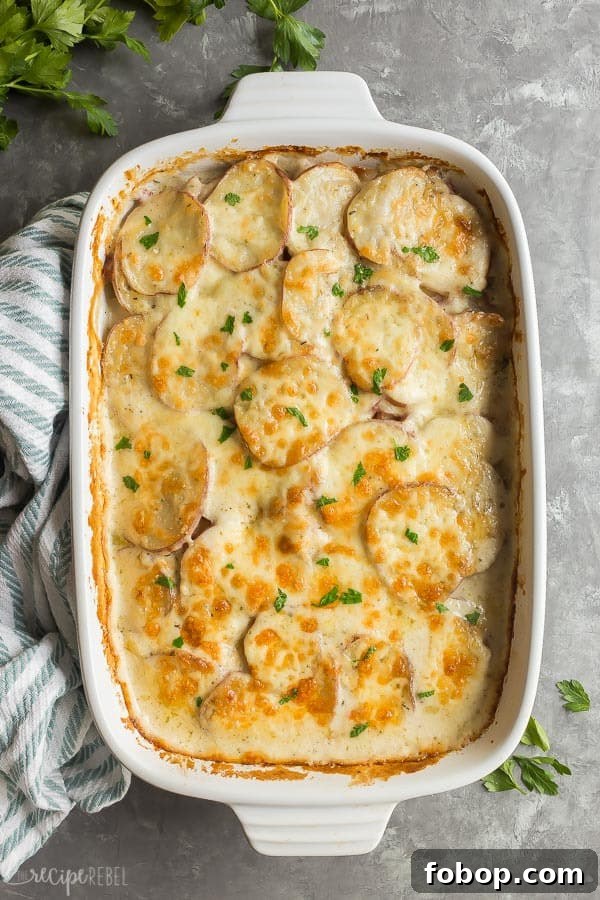 These Scalloped Potatoes and Ham are the perfect make ahead holiday dinner but they're just as good for leftovers, too! Super creamy, cheesy and comforting. scalloped potatoes and ham in white dish