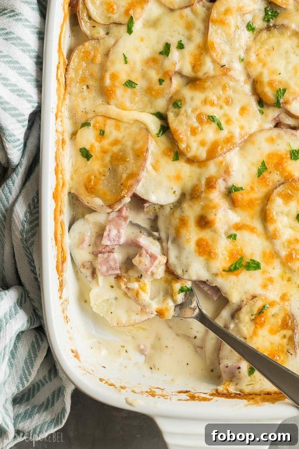 These Scalloped Potatoes and Ham are the perfect make ahead holiday dinner but they're just as good for leftovers, too! Super creamy, cheesy and comforting. scalloped potatoes and ham scoop