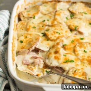 Cheesy Scalloped Potatoes with Ham and Creamy Sauce 2 scalloped potatoes and ham recipe