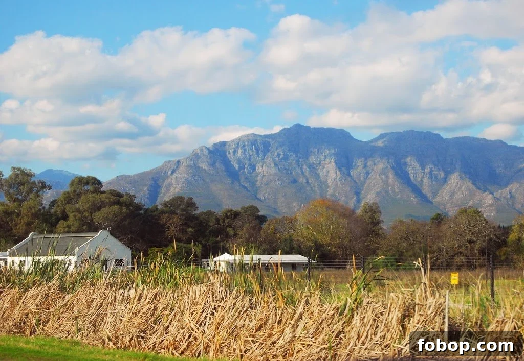 Stellenbosch Wine Tasting Tour: Sunday Wine Experiences in SA 2 img 37 1