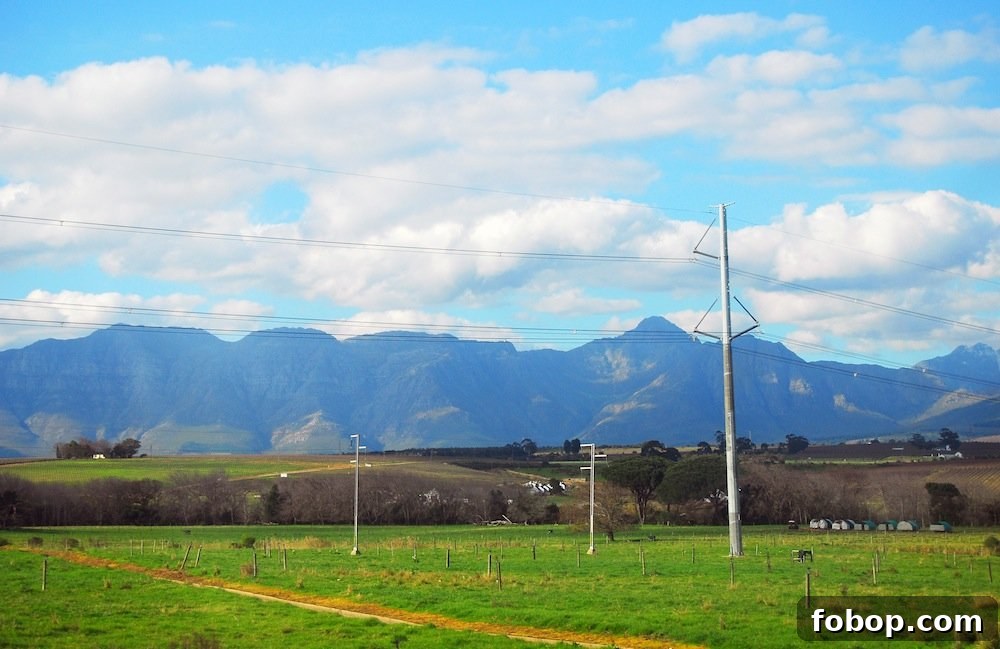 Stellenbosch Wine Tasting Tour: Sunday Wine Experiences in SA 4 img 37 3