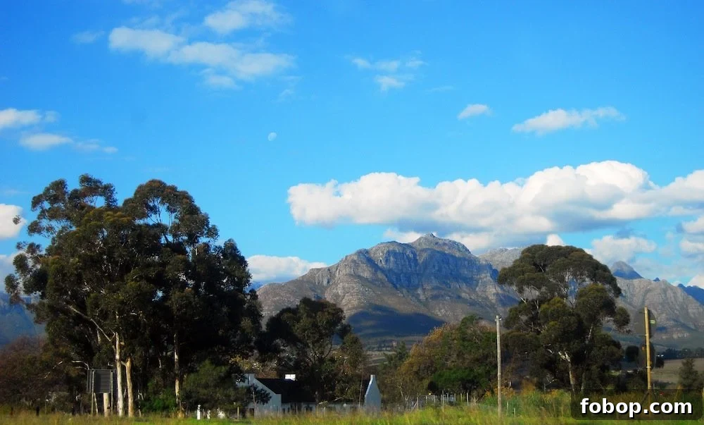 Stellenbosch Wine Tasting Tour: Sunday Wine Experiences in SA 6 img 37 5