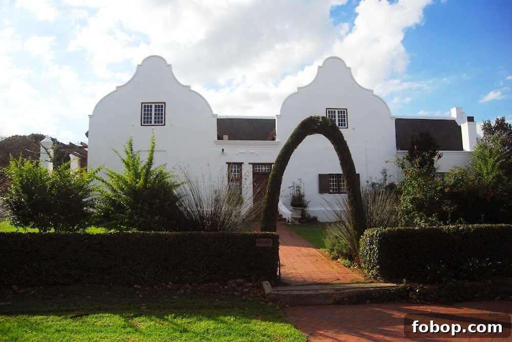 Stellenbosch Wine Tasting Tour: Sunday Wine Experiences in SA 7 img 37 6