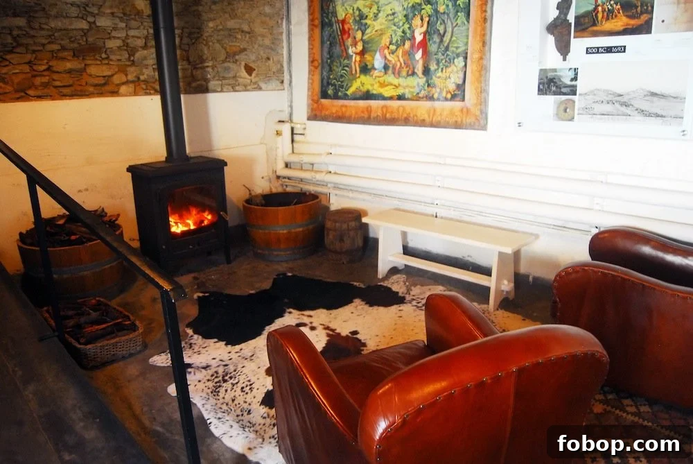 Stellenbosch Wine Tasting Tour: Sunday Wine Experiences in SA 9 img 37 8
