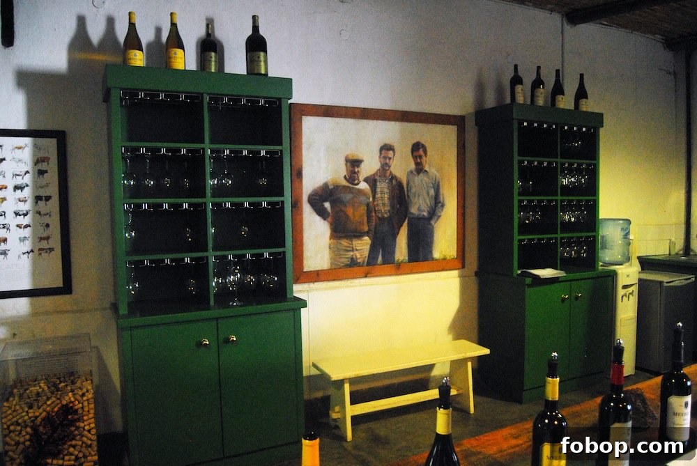 Stellenbosch Wine Tasting Tour: Sunday Wine Experiences in SA 10 img 37 9