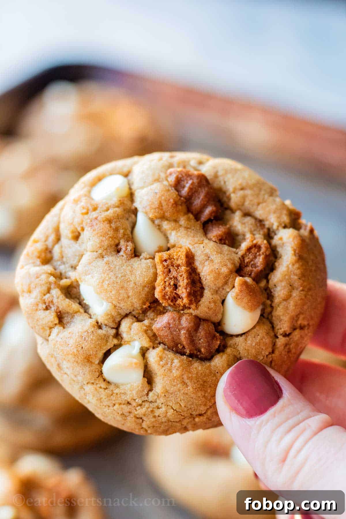 White Chocolate Biscoff Cookie Recipe: Crunchy Layered Cookies 2 Hand holding baked white chocolate biscoff cookie.