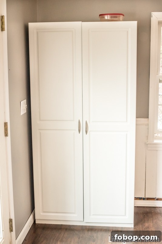 Organize Your Pantry and Keep It Tidy — Even With Kids 3 Tired of that messy pantry? Save time and money with this simple practical tip for organizing your pantry that really works. It's so easy, you'll be able to keep it organized even with kids!