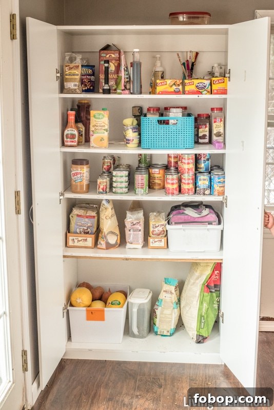 Organize Your Pantry and Keep It Tidy — Even With Kids 4 Tired of that messy pantry? Save time and money with this simple practical tip for organizing your pantry that really works. It's so easy, you'll be able to keep it organized even with kids!