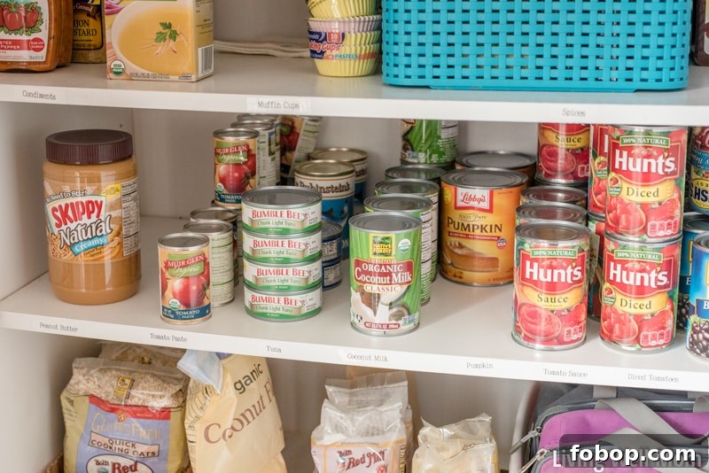 Organize Your Pantry and Keep It Tidy — Even With Kids 7 Tired of that messy pantry? Save time and money with this simple practical tip for organizing your pantry that really works. It's so easy, you'll be able to keep it organized even with kids!