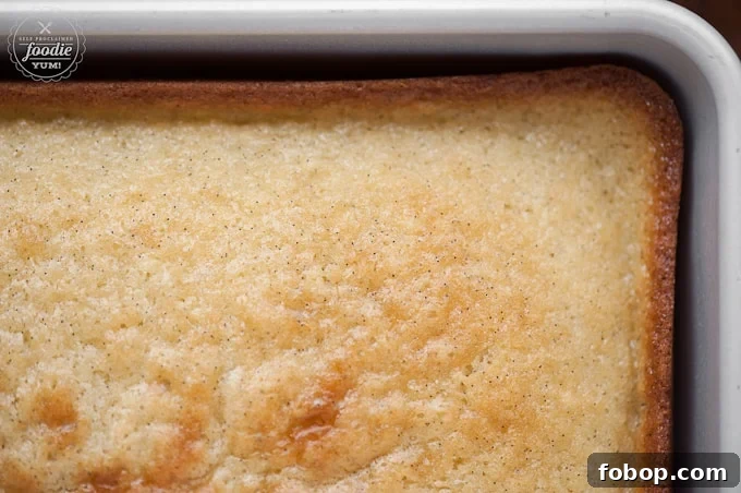 looking down at baked vanilla cake in pan
