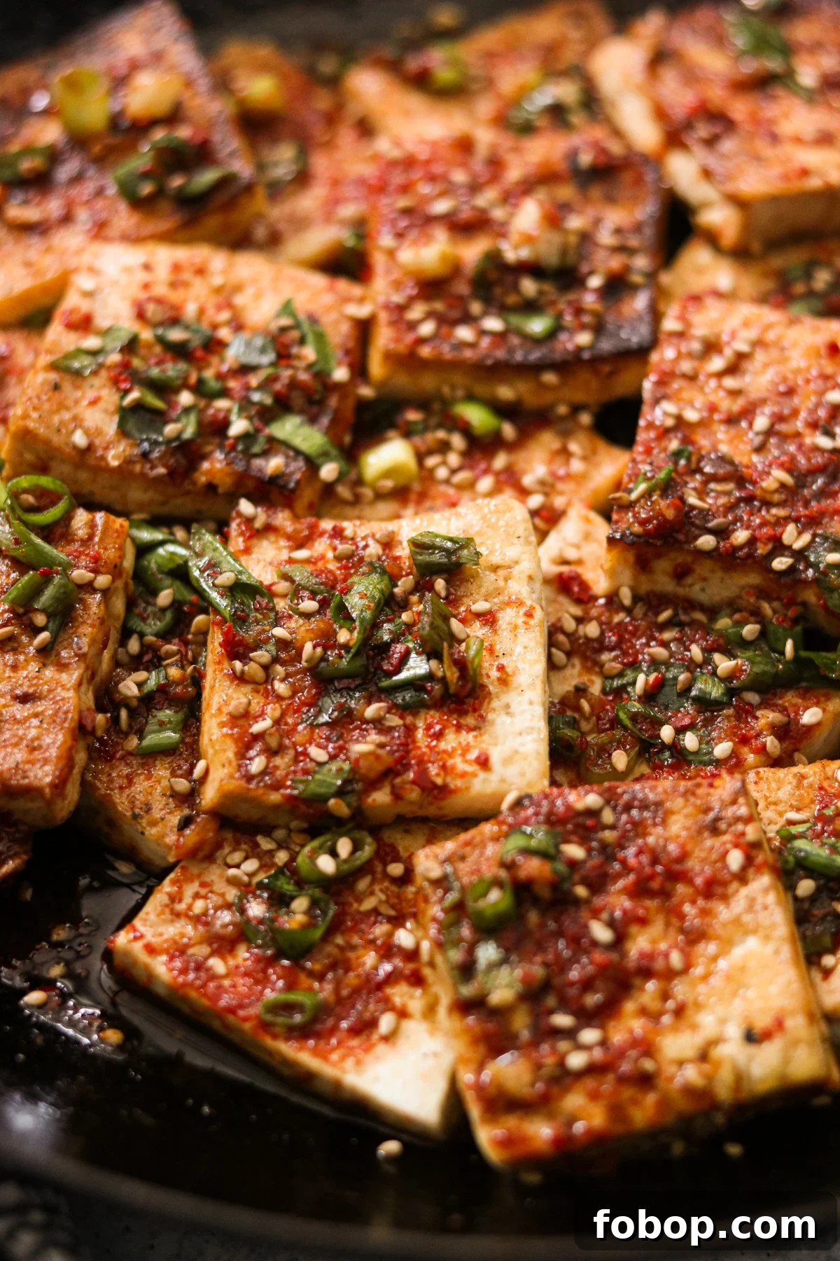 korean braised tofu topped with green onions and sesame seeds
