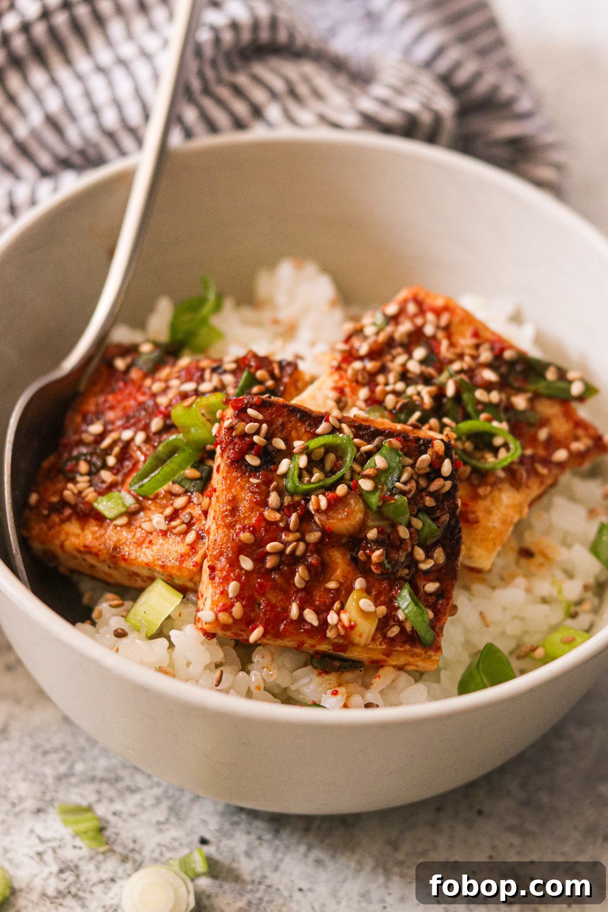 a bowl filled with pan-fried tofu and white rice 