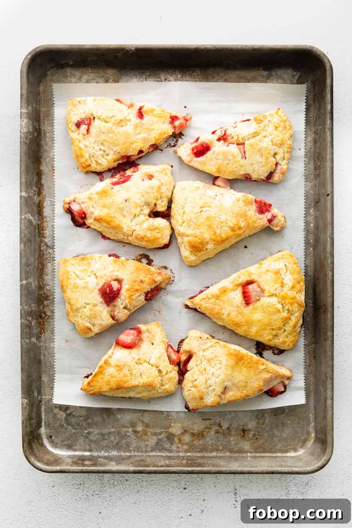 Eight golden brown strawberry scones on parchment-lined baking sheet