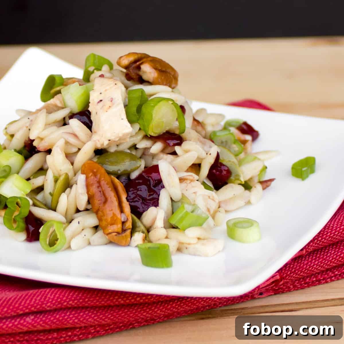 Orzo pasta with chicken, pecans and cranberries mixed together.