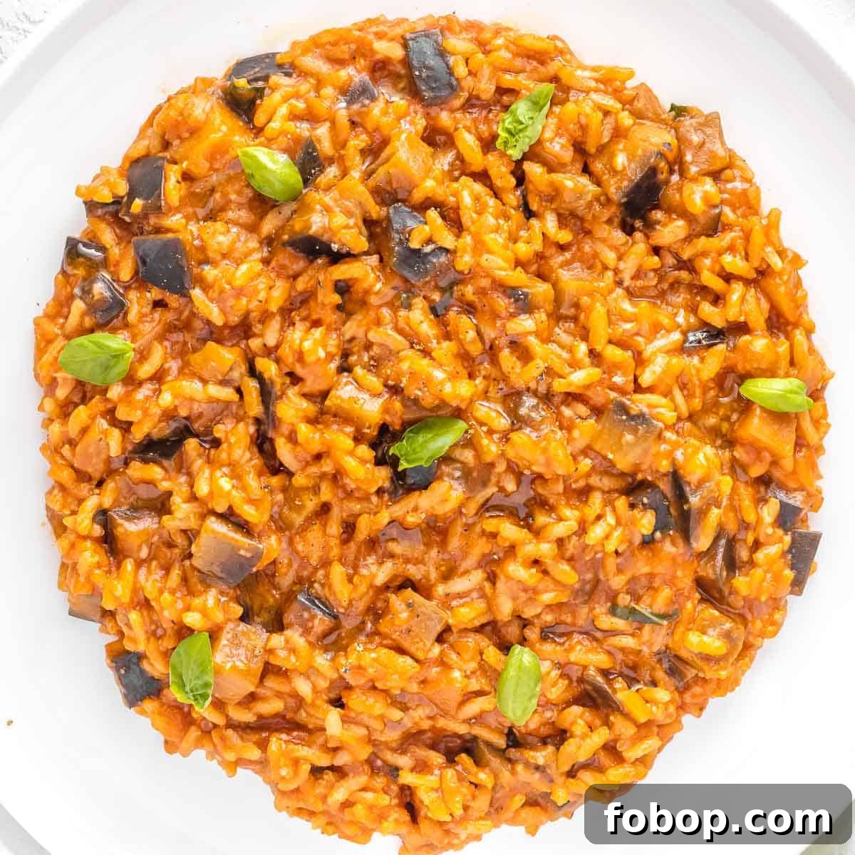 30 Delicious Eggplant Recipes for Every Meal 10 eggplant risotto