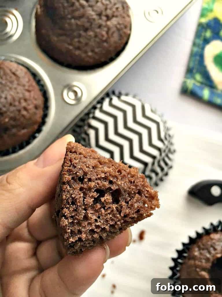 Ice Cream Filled Cupcakes