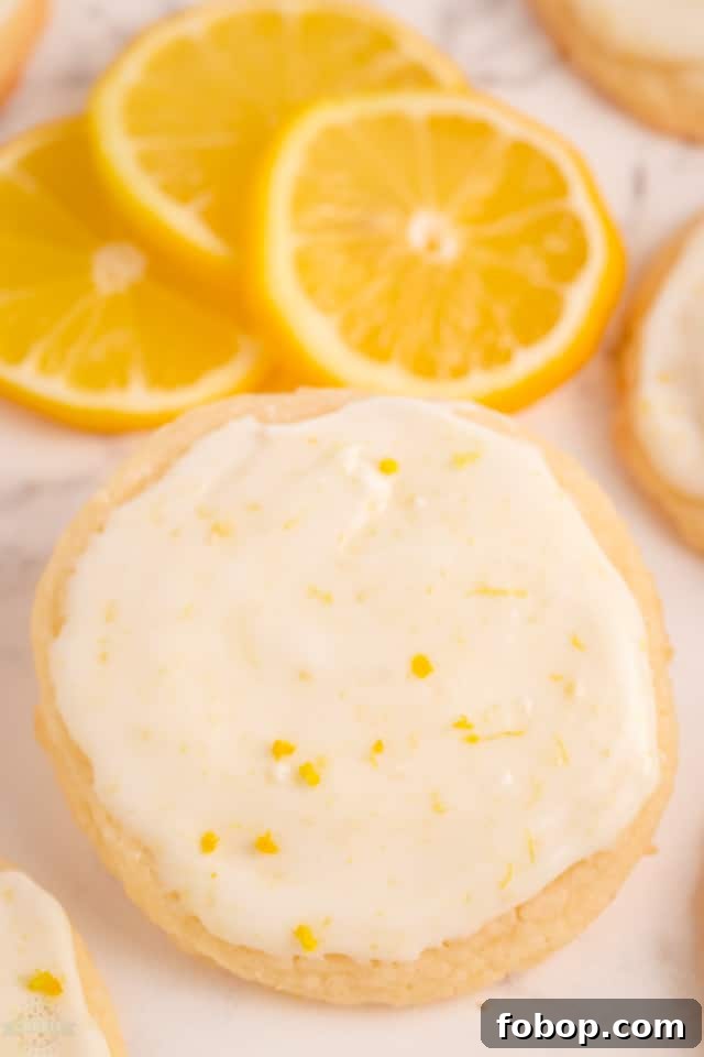 Lemon Meltaway Cookies Recipe: Light, Buttery Citrus Cookies 9 Soft & Tender Lemon Meltaway Cookie recipe