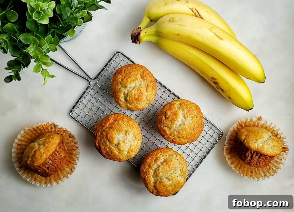 Bakery-Style Banana Muffins Recipe for Moist, Fluffy Bites 4 bakery style banana muffins