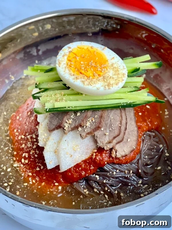 Jajangmyeon: Authentic Korean Black Bean Noodle Recipe 8 A bowl of chilled Korean noodles, known as bibim naengmyeon, topped with slices of beef, radish, julienned cucumber, a halved boiled egg, and sesame seeds, all served in a savory broth with a red chili sauce.