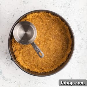 Perfect Graham Cracker Crust Recipe for Pies and Cheesecakes 3 An overhead view of a graham cracker crust.