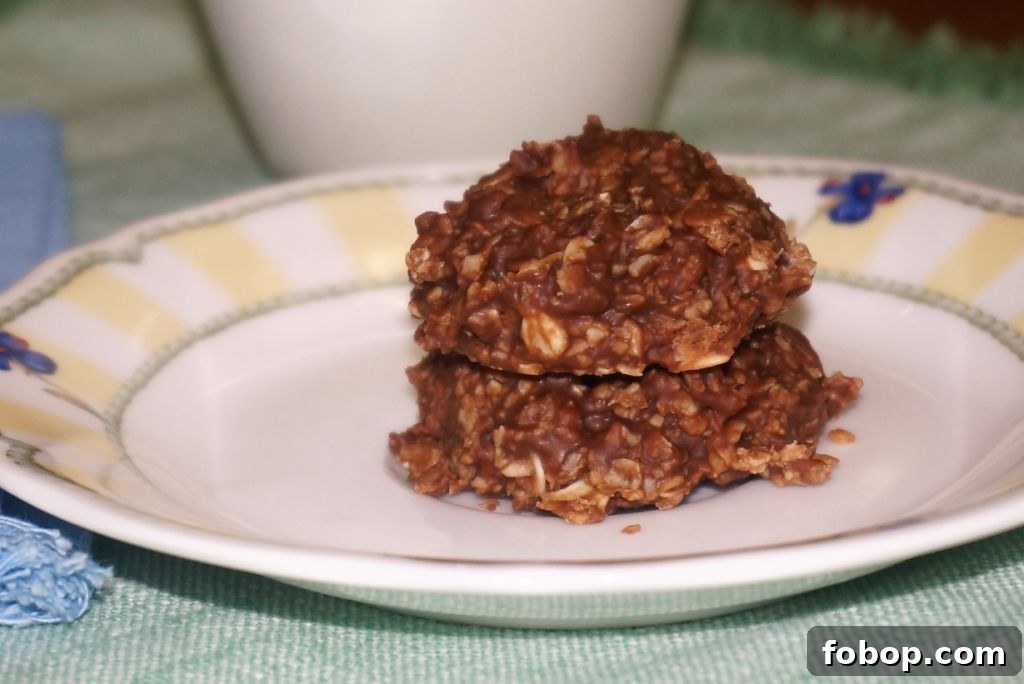 Chocolate Peanut Butter No-Bake Cookies Recipe (Quick, Chewy) 2 Chocolate No Bake Cookies