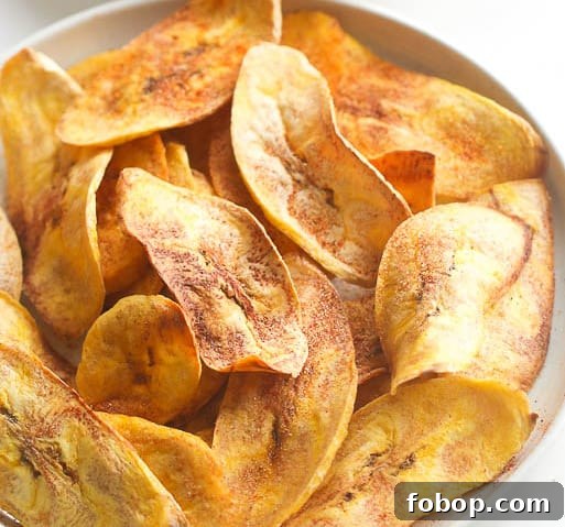 Split Pea Crackers & Chips — Gluten, Dairy and Egg Free Snacks 13 Plantain Chips