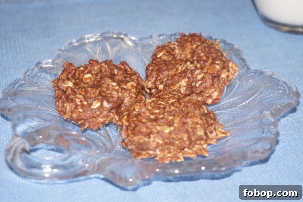Chocolate Peanut Butter No-Bake Cookies Recipe (Quick, Chewy) 4 No Bake Cookies