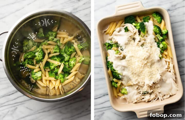 Creamy Chicken and Broccoli Alfredo Bake Recipe 4 draining pasta and broccoli in a sieve and adding to a baking dish with sauce