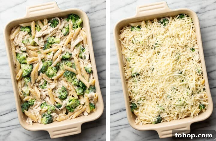 Creamy Chicken and Broccoli Alfredo Bake Recipe 5 topping chicken and broccoli casserole with mozzarella