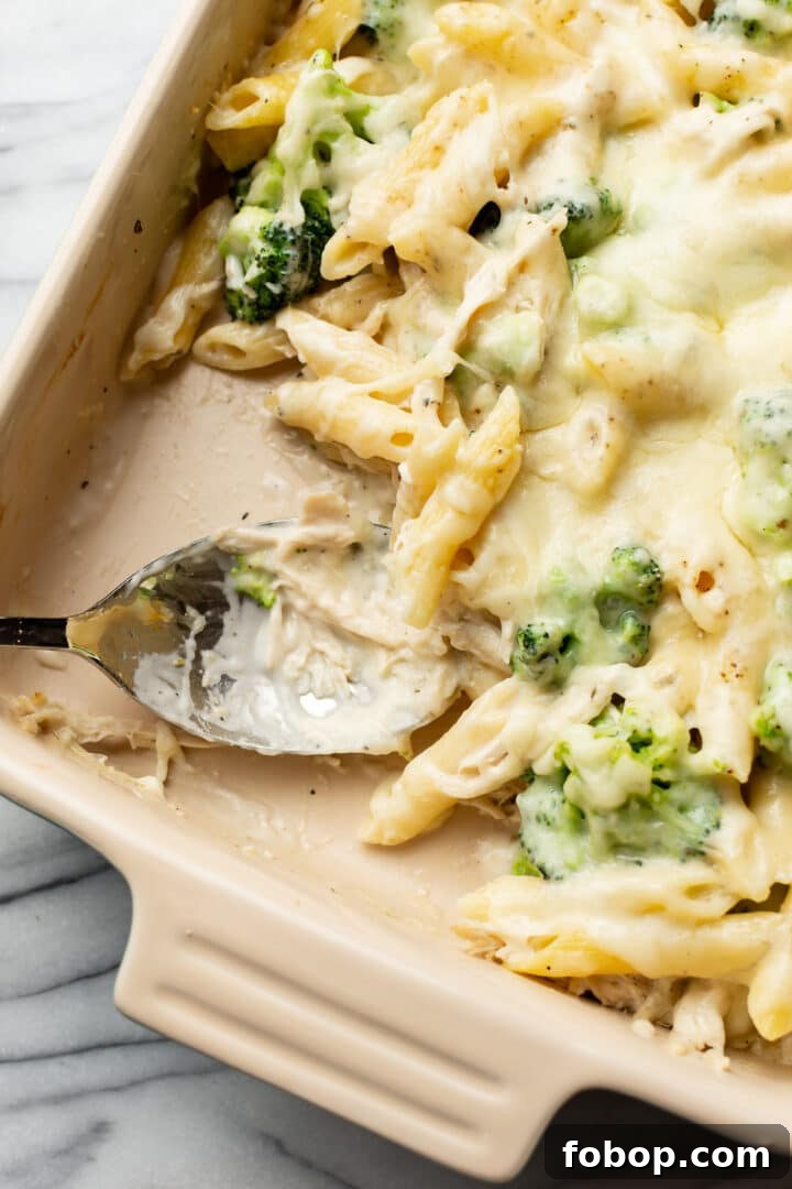 Creamy Chicken and Broccoli Alfredo Bake Recipe 6 closeup of a baking dish with chicken and broccoli pasta bake