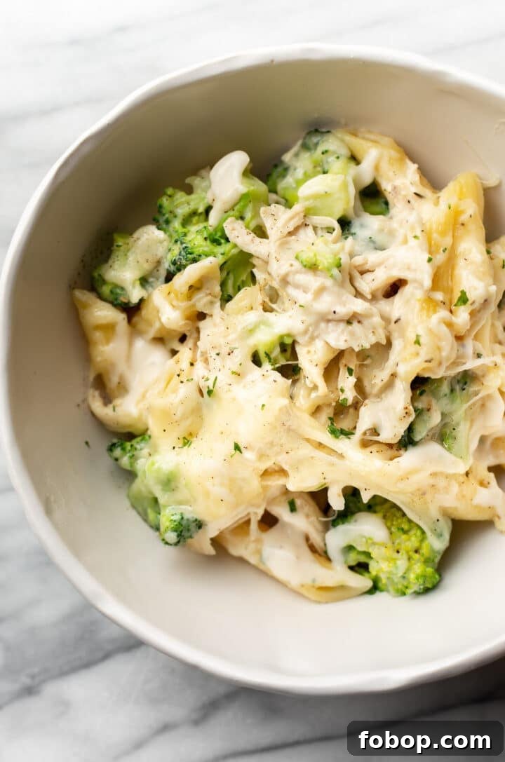 Creamy Chicken and Broccoli Alfredo Bake Recipe 7 a bowl of chicken and broccoli alfredo bake