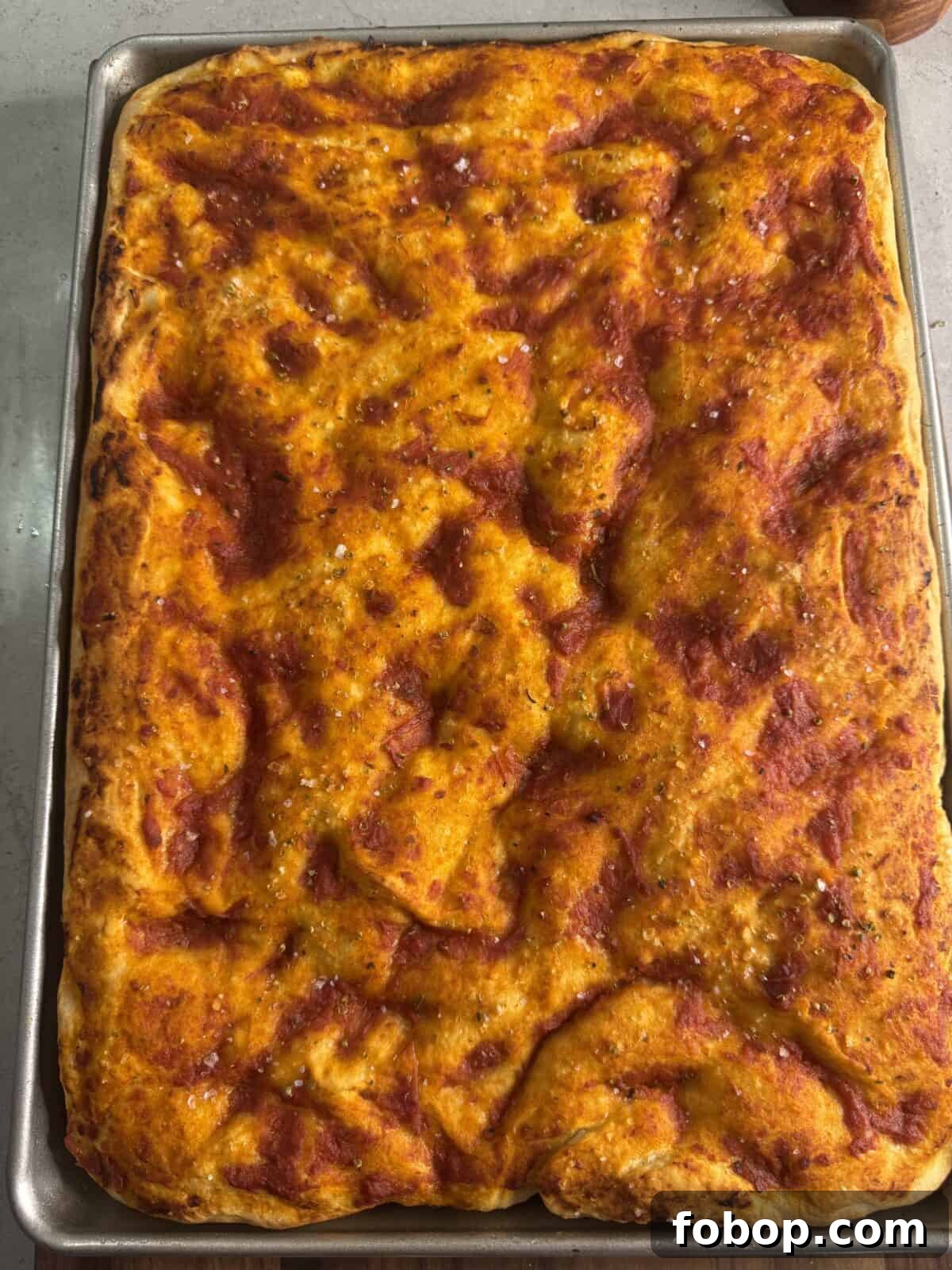 Carbone Fine Foods Grandma-Style Italian Bread 3 A rectangular sheet pan filled with golden, homemade pizza dough topped with tomato sauce and a sprinkle of coarse salt, fresh out of the oven and resting on a light-colored countertop.