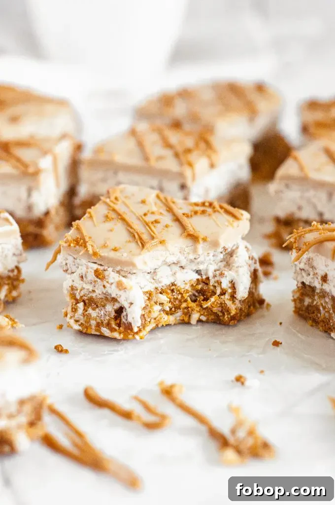 No-Bake Cookie Butter Bars