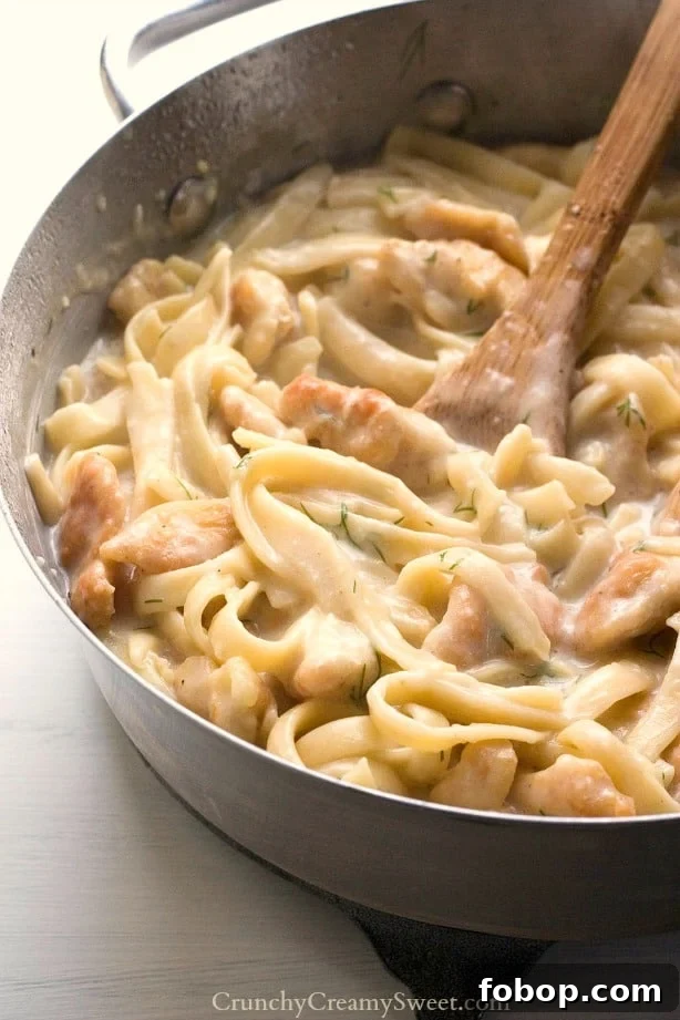 creamy dill chicken pasta creamy dill chicken pasta