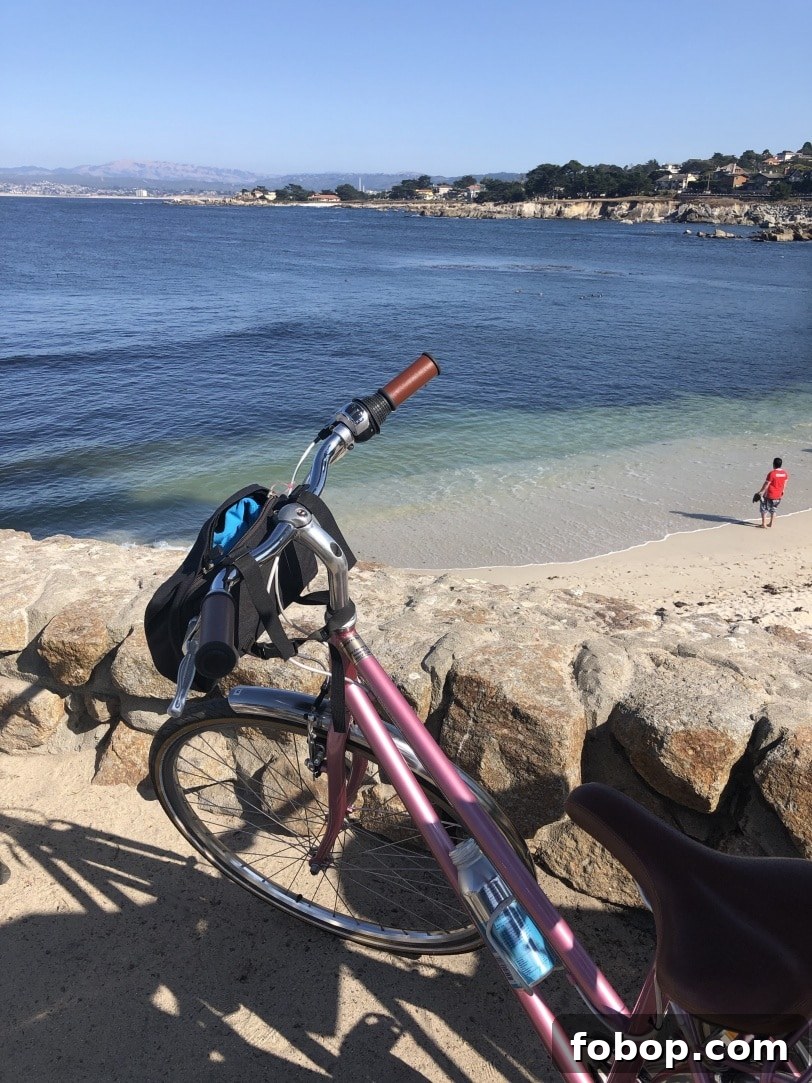 Food & Farming Adventures: A Guide to Local Eats and Small Farms 15 biking monterey california