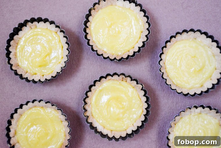 Zesty Lemon Ginger Tartlets Recipe — Tangy Mini Citrus Tarts 2 Lemon Ginger Tartlets
