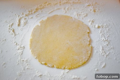 Zesty Lemon Ginger Tartlets Recipe — Tangy Mini Citrus Tarts 4 Pâte sucrée 1