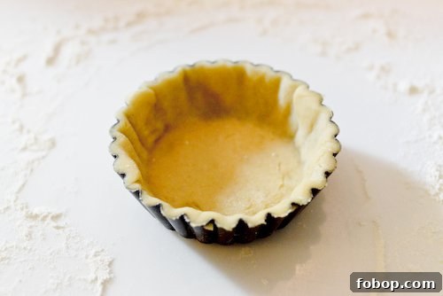 Zesty Lemon Ginger Tartlets Recipe — Tangy Mini Citrus Tarts 6 Pâte sucrée 3