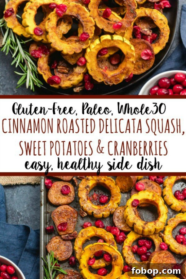 Roasted delicata squash on a platter Roasted delicata squash on a platter