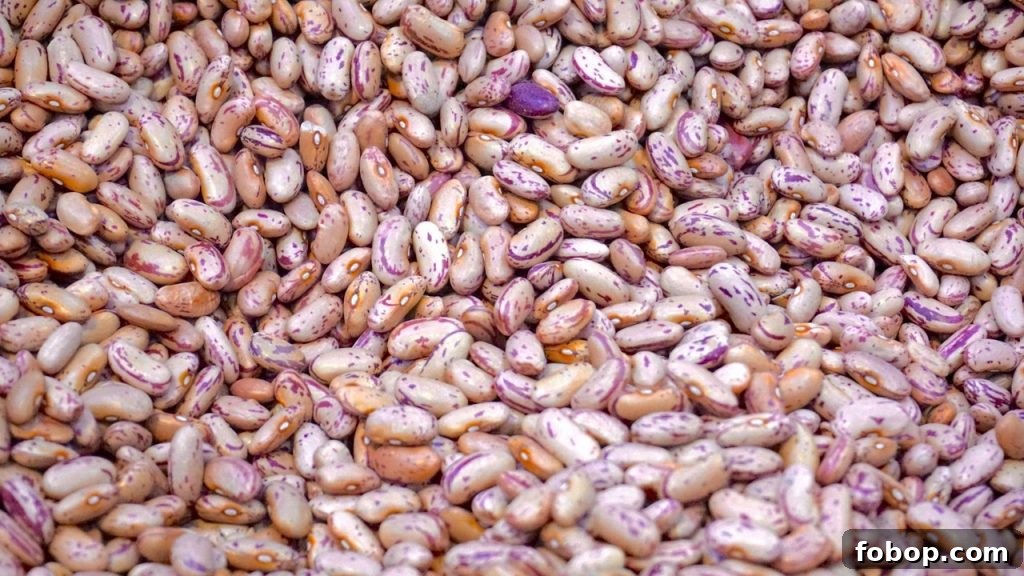 Lentils for Tacos