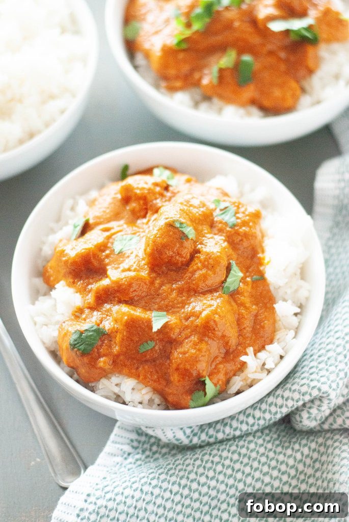 Slow-Cooker Dairy-Free Chicken Tikka Masala Recipe 2 dairy-free-crock-pot-chicken-tikka-masala