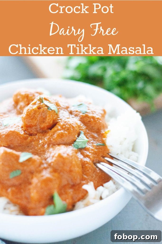 Slow-Cooker Dairy-Free Chicken Tikka Masala Recipe 9 dairy-free-crock-pot-chicken-tikka-masala-recipe-by-allergy-awesomeness