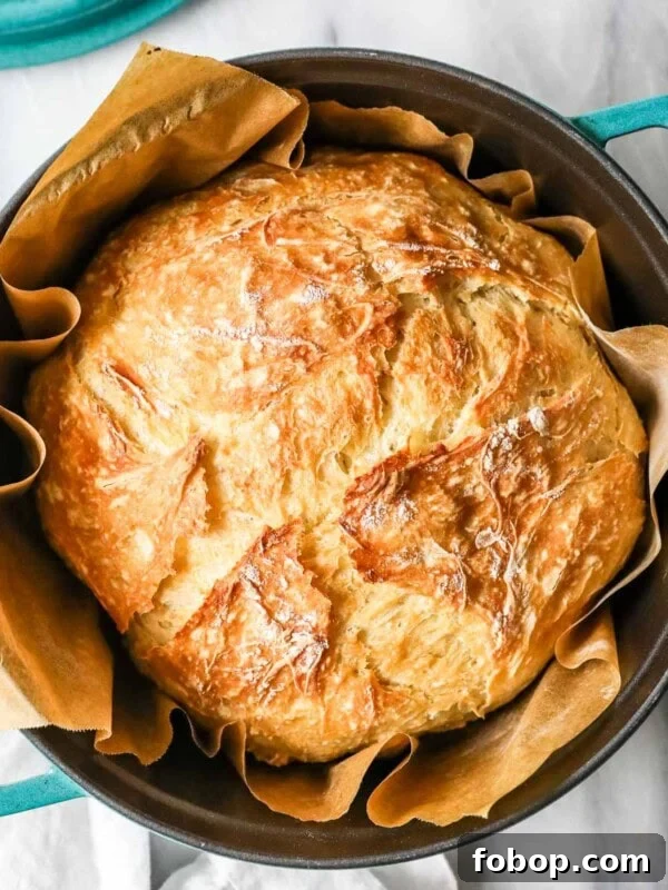 Overhead view of a round loaf of artisan bread in a teal dutch oven.